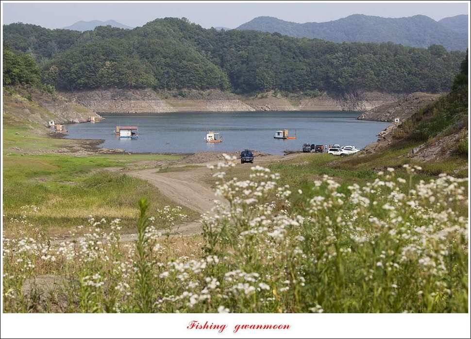 충주호칠성지 주말 조황 (조황조행기 - 특파원조황)