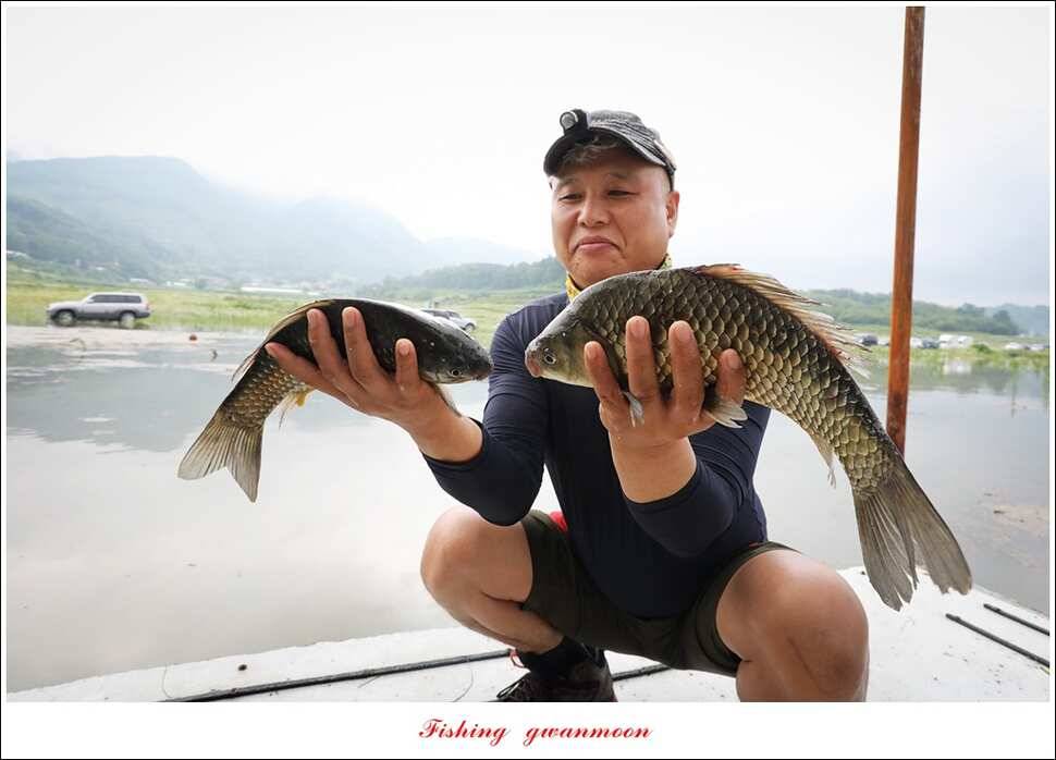 제일 4 짜돌감한버들 마릿수 월척화곡지 사짜 및 마릿수 월척 (조황조행기 - 특파원조황)