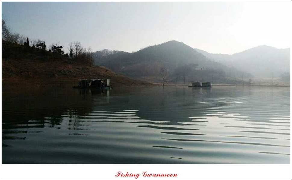 제일신매돌감실리곡한버들 월척 (조황조행기 - 특파원조황)
