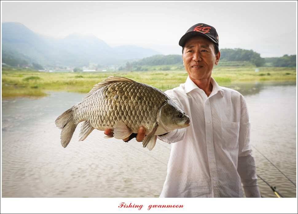 제일 4 짜돌감한버들 마릿수 월척화곡지 사짜 및 마릿수 월척 (조황조행기 - 특파원조황)