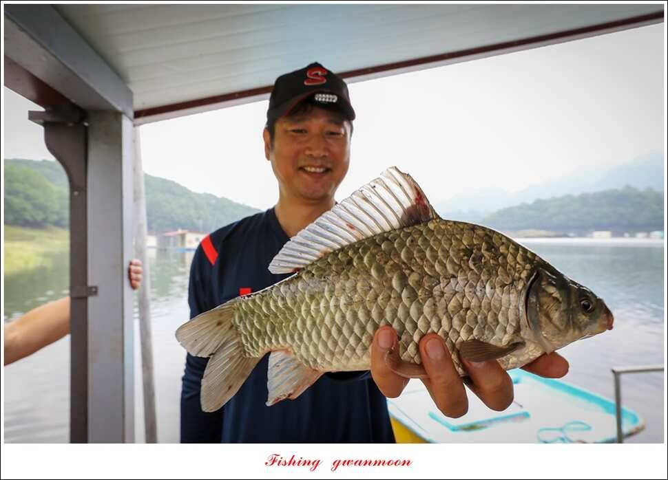 제일 4 짜돌감한버들 마릿수 월척화곡지 사짜 및 마릿수 월척 (조황조행기 - 특파원조황)