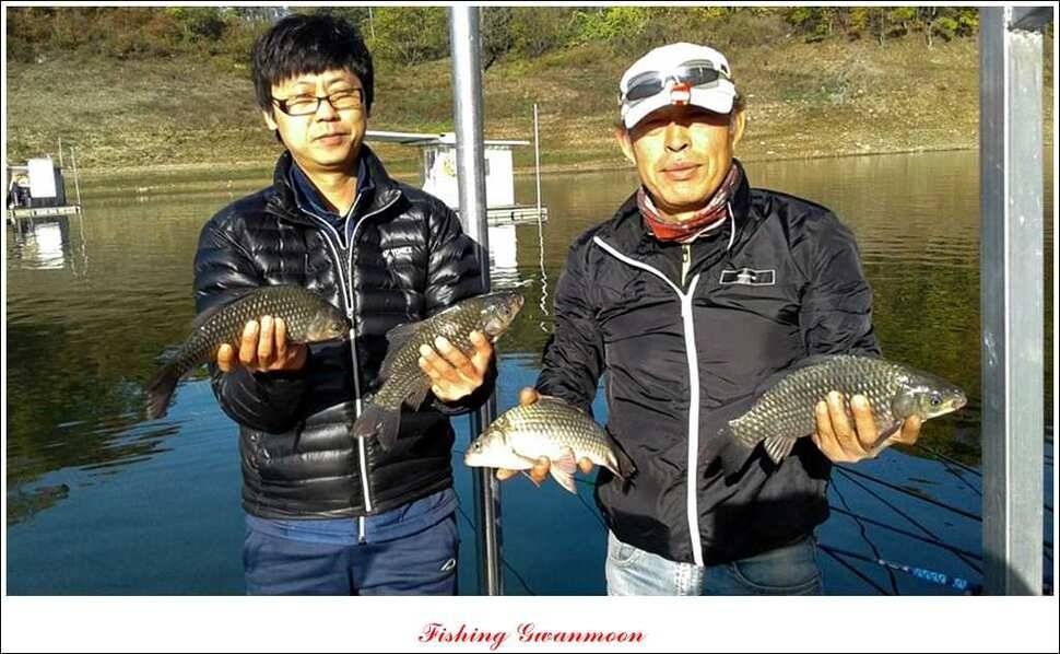 충주호 주말 조황 (조황조행기 - 특파원조황)
