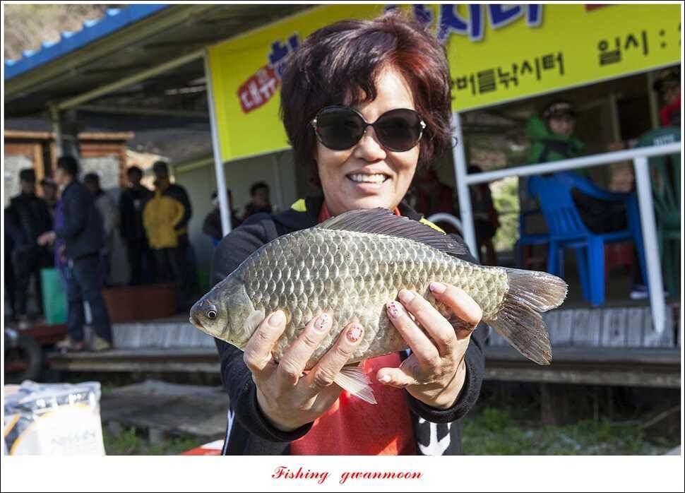 한버들 낚시대회실리곡 월척 (조황조행기 - 특파원조황)