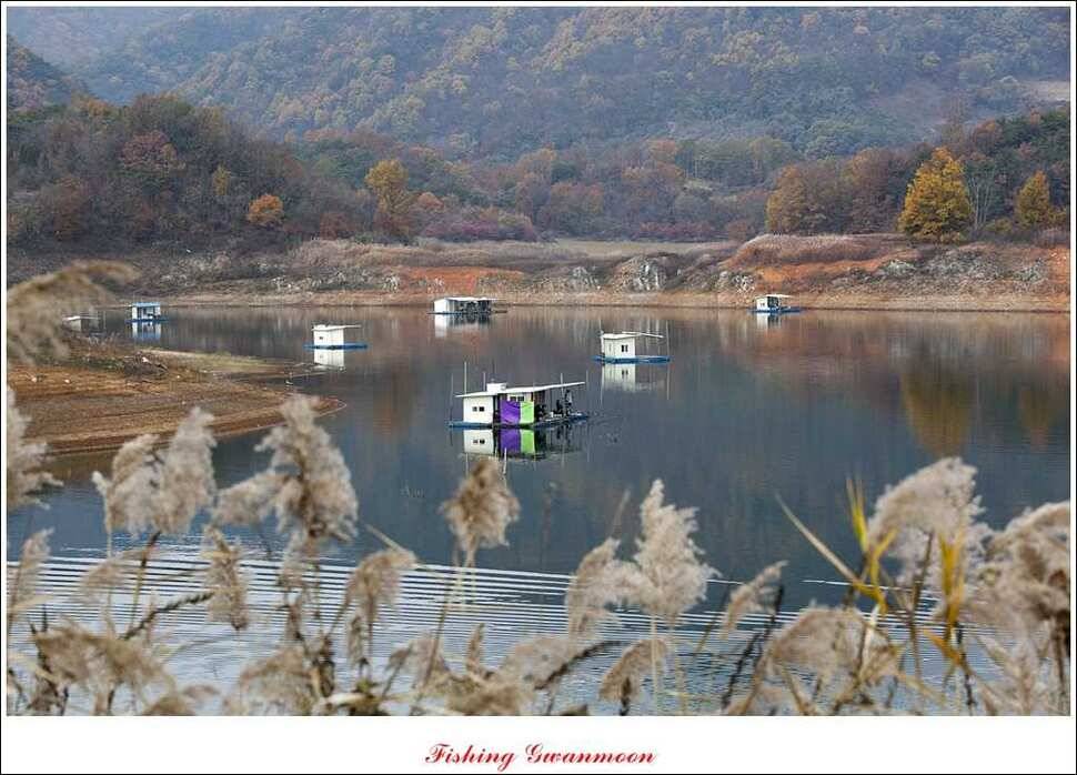 짱가네 사짜돌감실리곡병호 월척 (조황조행기 - 특파원조황)