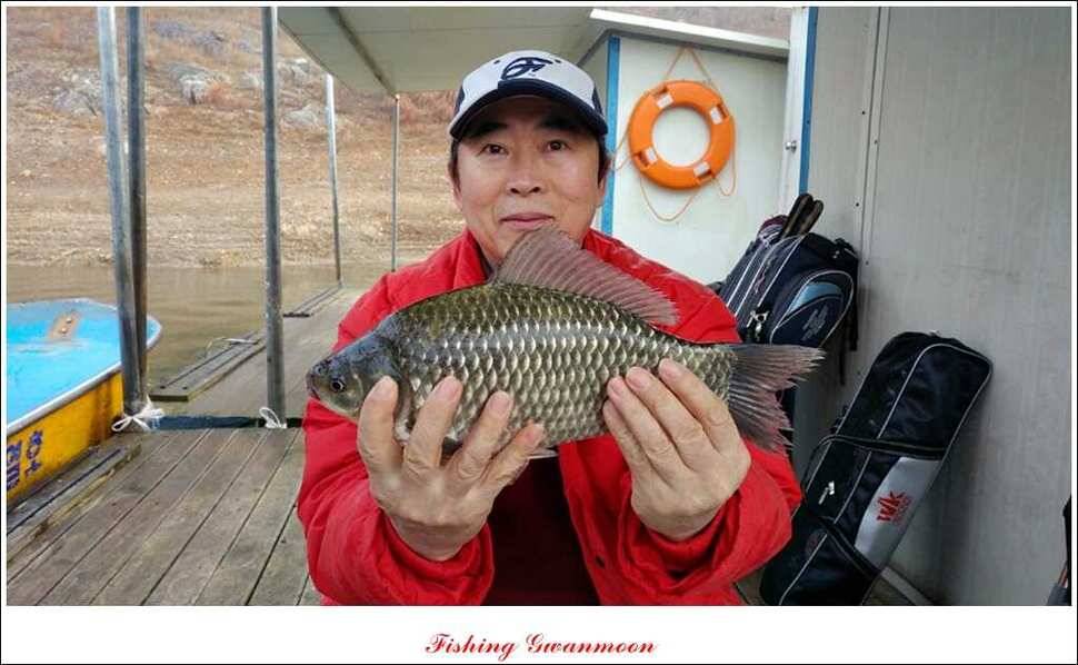제일윤신매돌감짱가네한버들실리곡 월척 (조황조행기 - 특파원조황)
