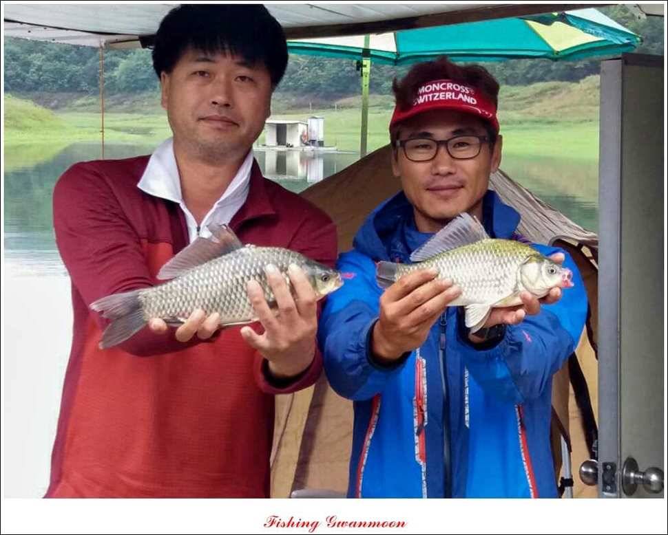 한버들병호실리곡화곡지달천강 조황 (조황조행기 - 특파원조황)