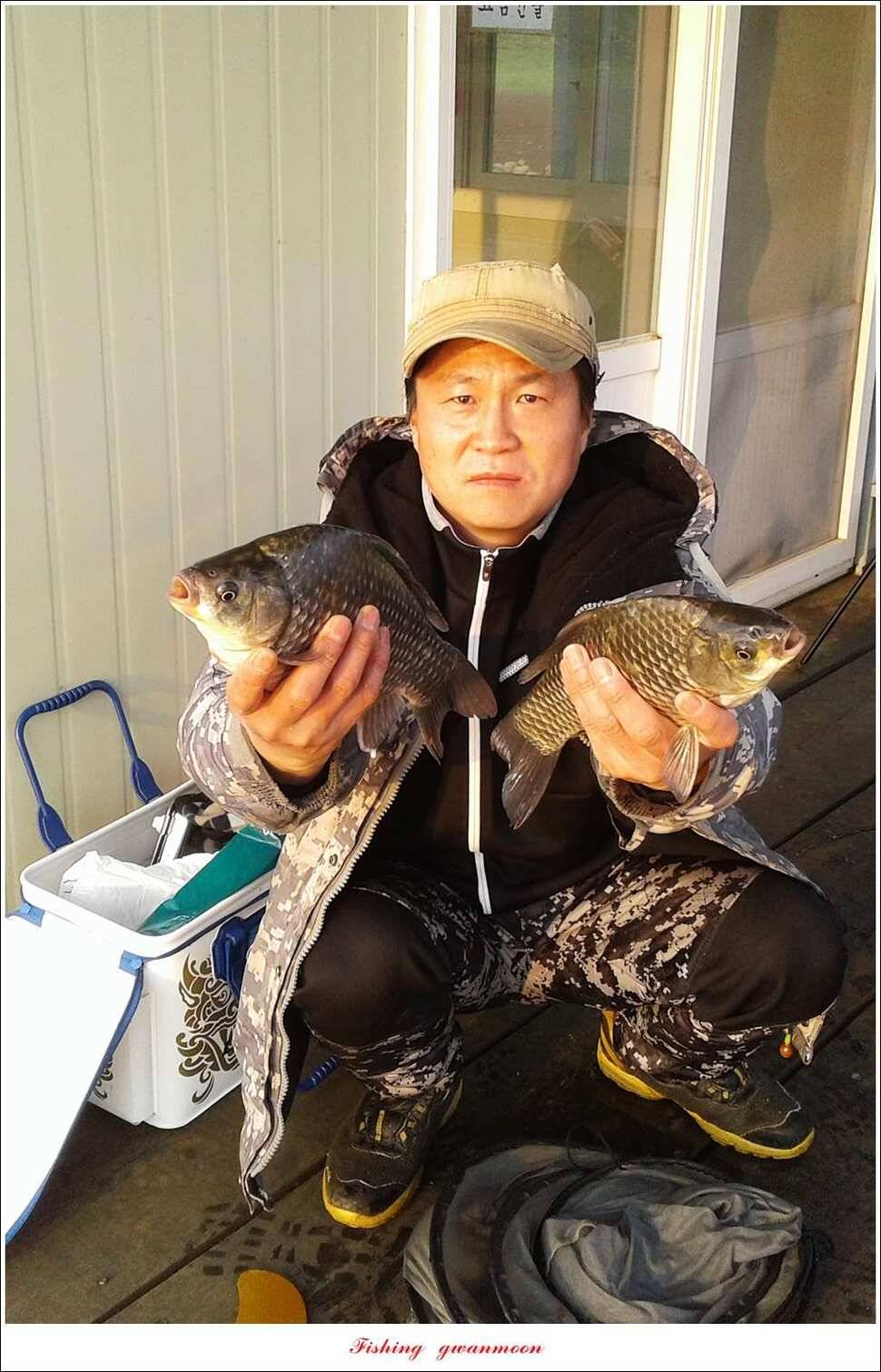한버들 월척화곡지 마릿수 월척 조황 (조황조행기 - 특파원조황)