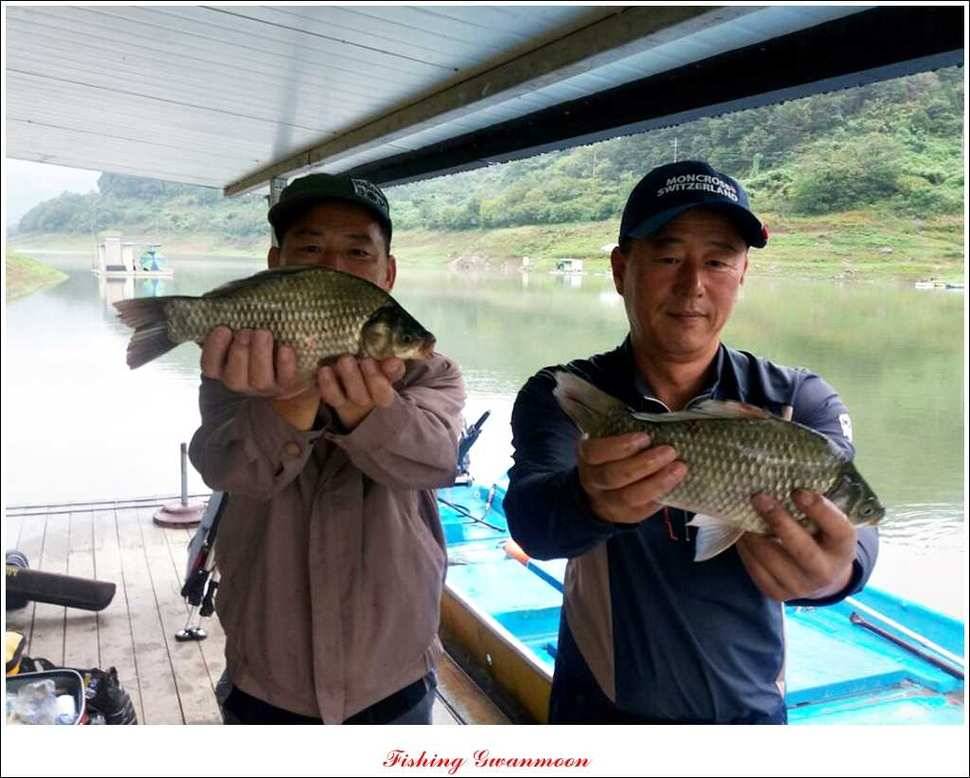 한버들병호실리곡화곡지달천강 조황 (조황조행기 - 특파원조황)