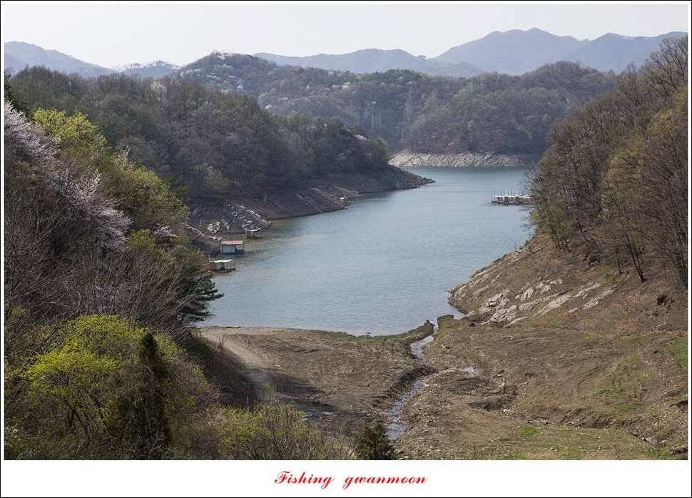 실리곡충주호 노지달천강괴산권 조황 (조황조행기 - 특파원조황)