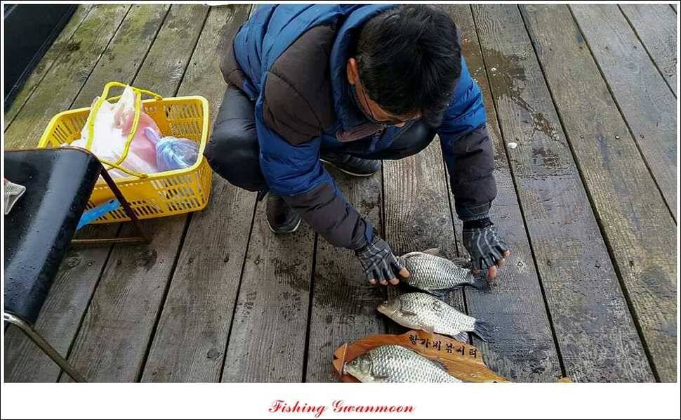 제일윤신매돌감짱가네한버들실리곡 월척 (조황조행기 - 특파원조황)