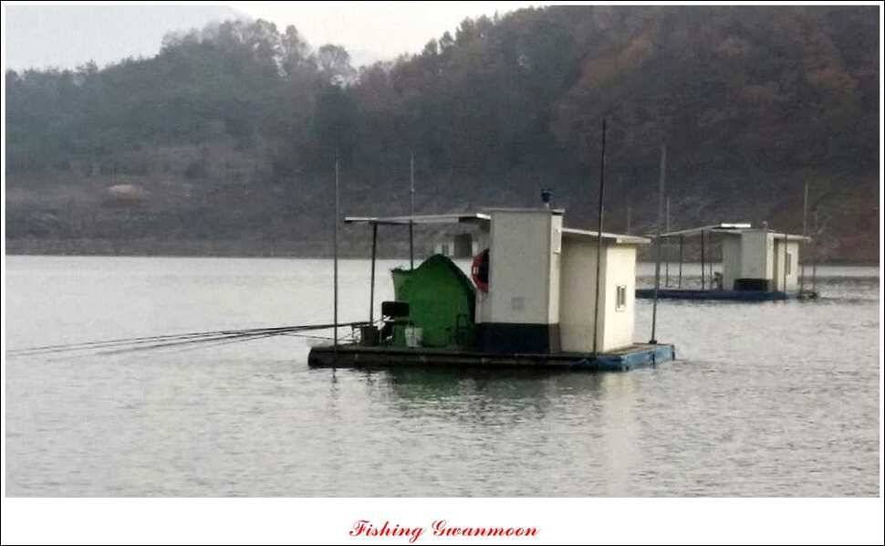 실리곡 짱가네 조황 (조황조행기 - 특파원조황)