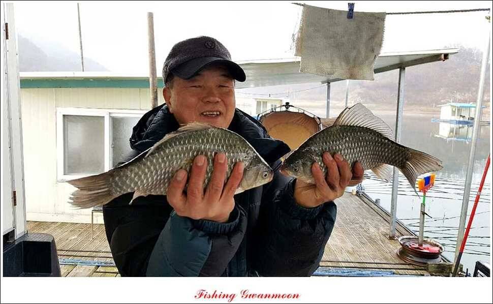 제일윤신매돌감짱가네한버들실리곡 월척 (조황조행기 - 특파원조황)