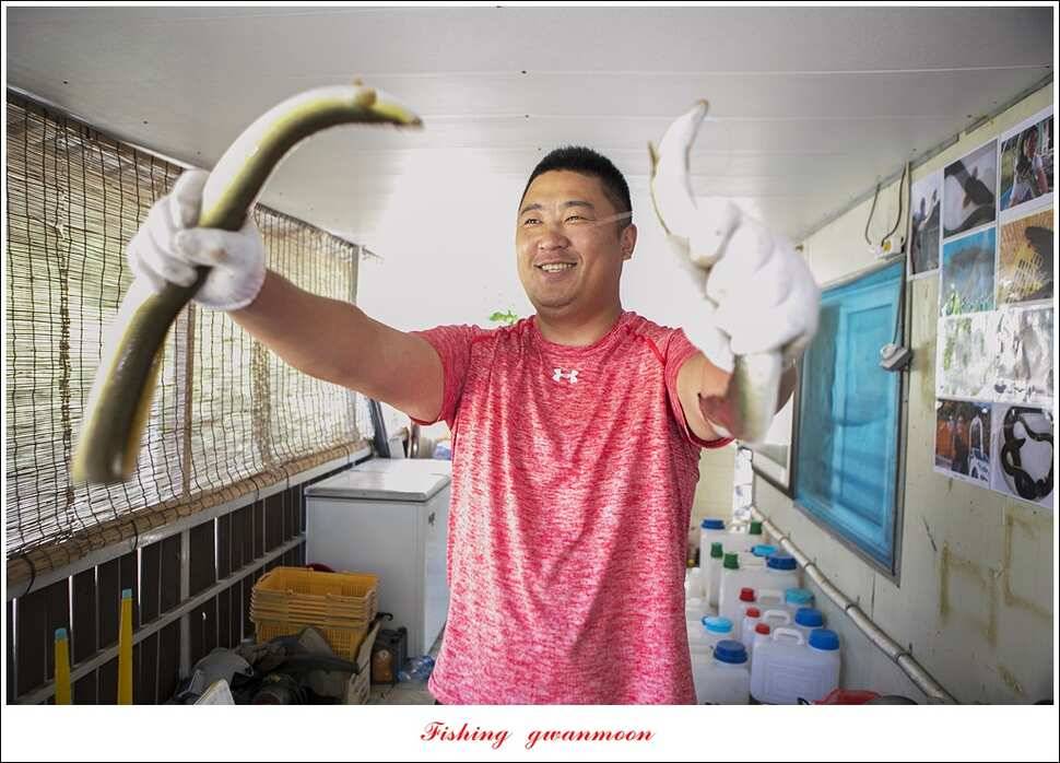 늘푸른 키로 장어마릿수 장어 조황 (조황조행기 - 특파원조황)