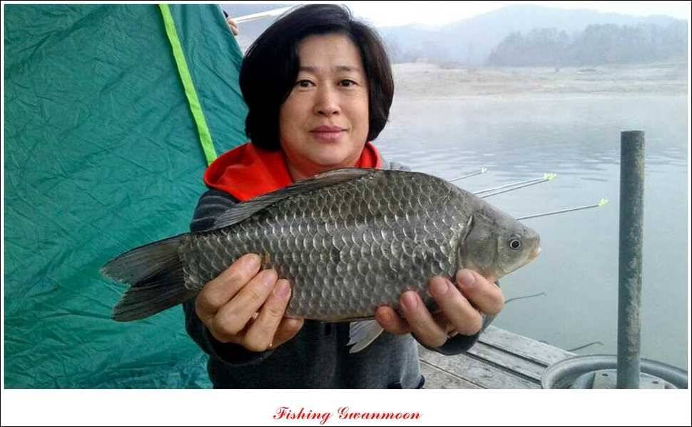 제일신매돌감실리곡한버들 월척 (조황조행기 - 특파원조황)