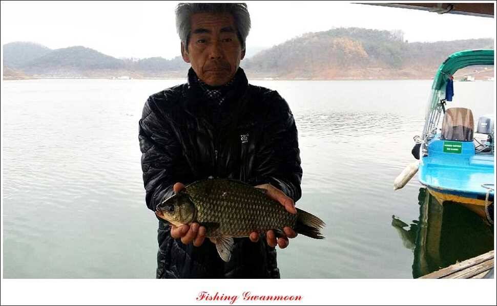 실리곡 짱가네 조황 (조황조행기 - 특파원조황)