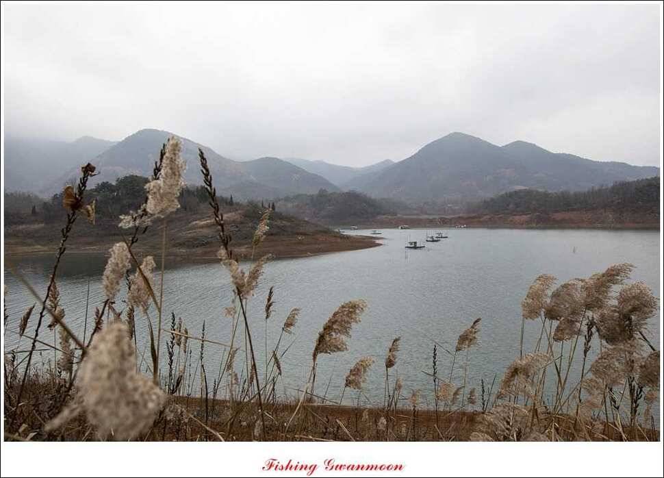 실리곡 짱가네 조황 (조황조행기 - 특파원조황)