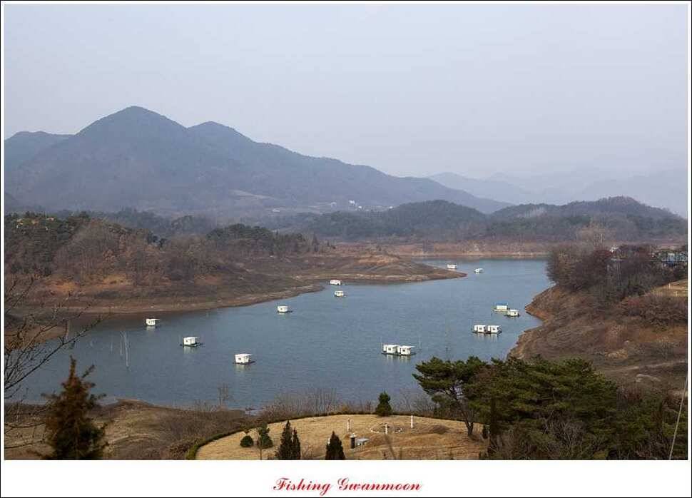 돌감실리곡짱가네병호 조황 (조황조행기 - 특파원조황)
