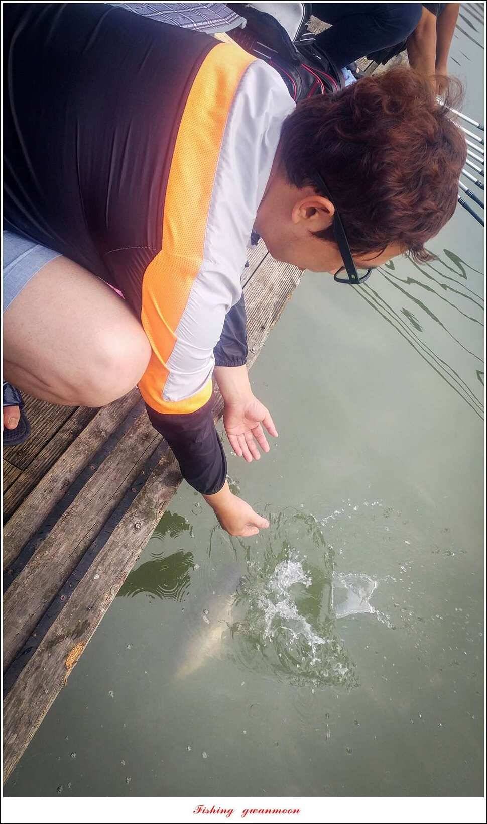충주호칠성지 주말 조황 (조황조행기 - 특파원조황)