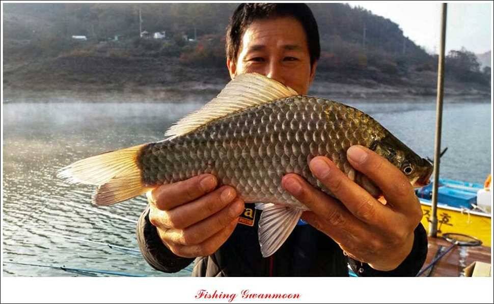 실리곡짱가네 월척 (조황조행기 - 특파원조황)