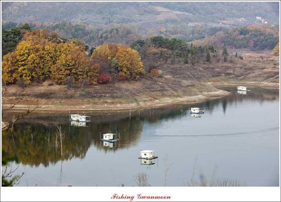 짱가네 사짜돌감실리곡병호 월척 (조황조행기 - 특파원조황)