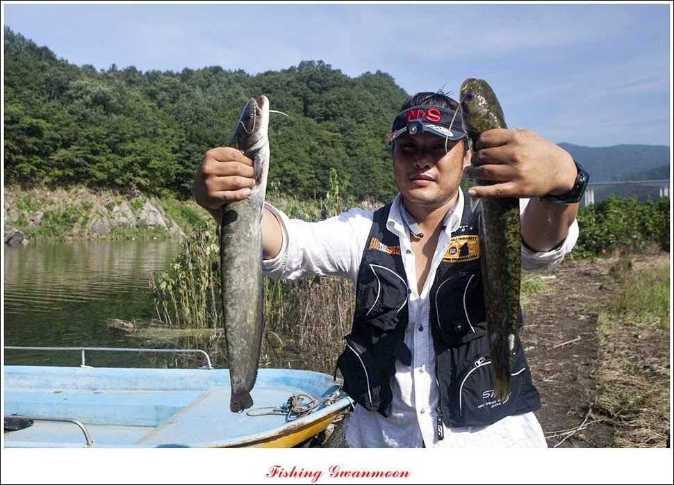 명서 사짜추평지 사짜 (조황조행기 - 특파원조황)