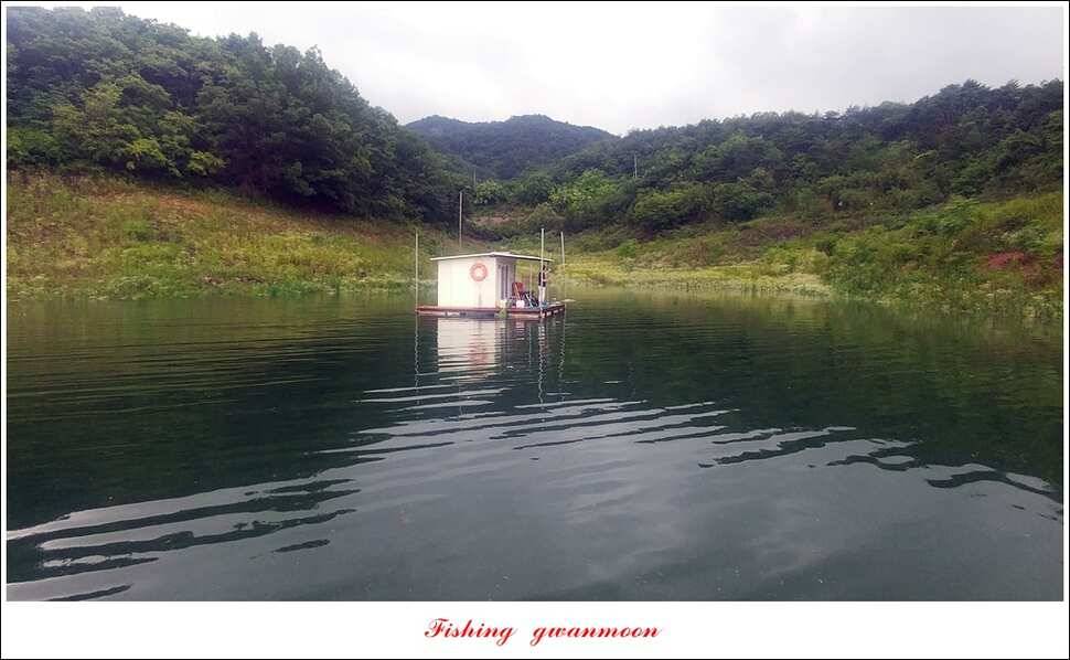 제일 4 짜돌감한버들 마릿수 월척화곡지 사짜 및 마릿수 월척 (조황조행기 - 특파원조황)