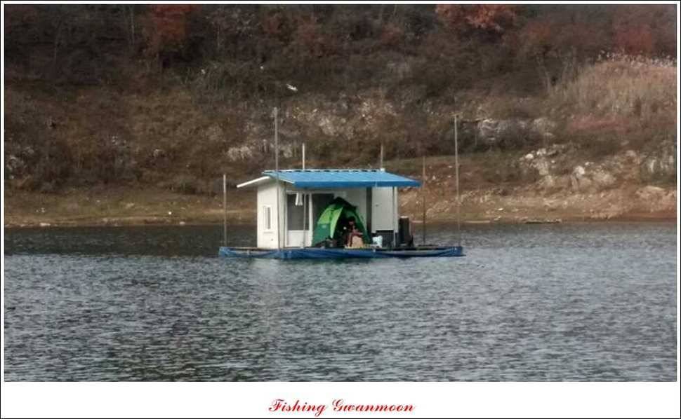실리곡짱가네 월척 (조황조행기 - 특파원조황)