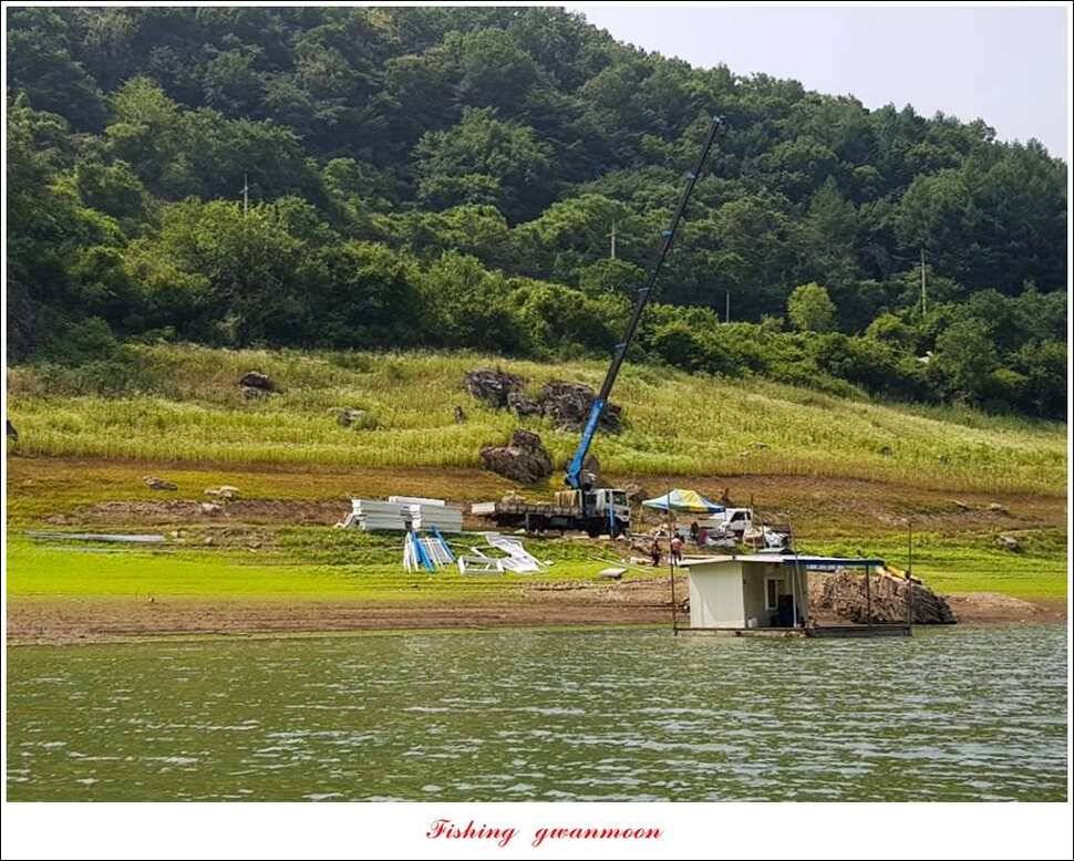 충주호칠성지 주말 조황 (조황조행기 - 특파원조황)