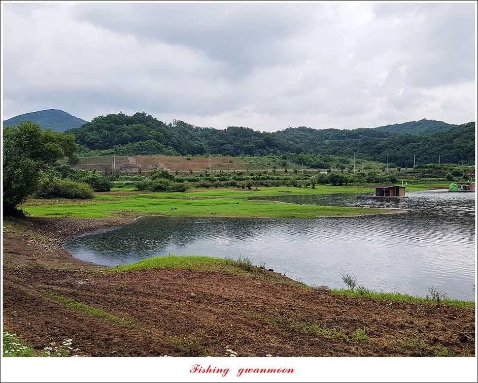 충주호 오름수위화곡지 월척 마릿수 조황 (조황조행기 - 특파원조황)