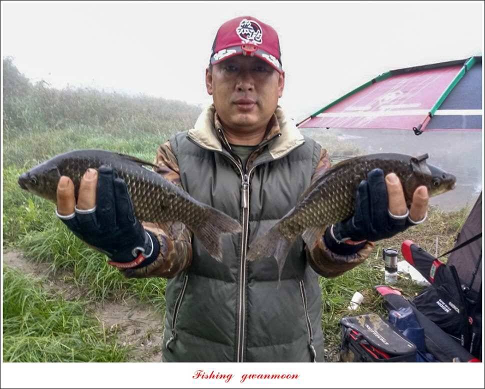 신매 42 cm 돌감 허리급한버들실리곡달천강 월척 조황 (조황조행기 - 특파원조황)