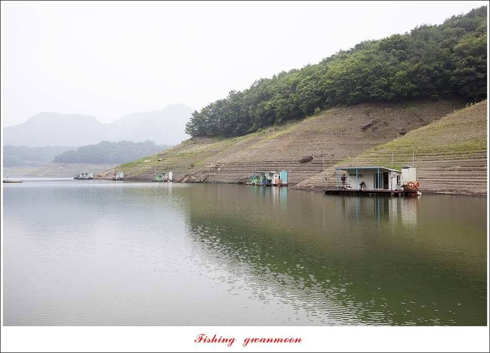 신매실리곡한버들 월척 조황 (조황조행기 - 특파원조황)