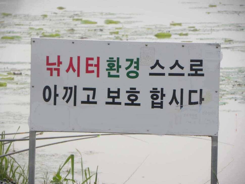 712 기리지뻘물속의 민항기씨 턱걸이 (조황조행기 - 특파원조황)
