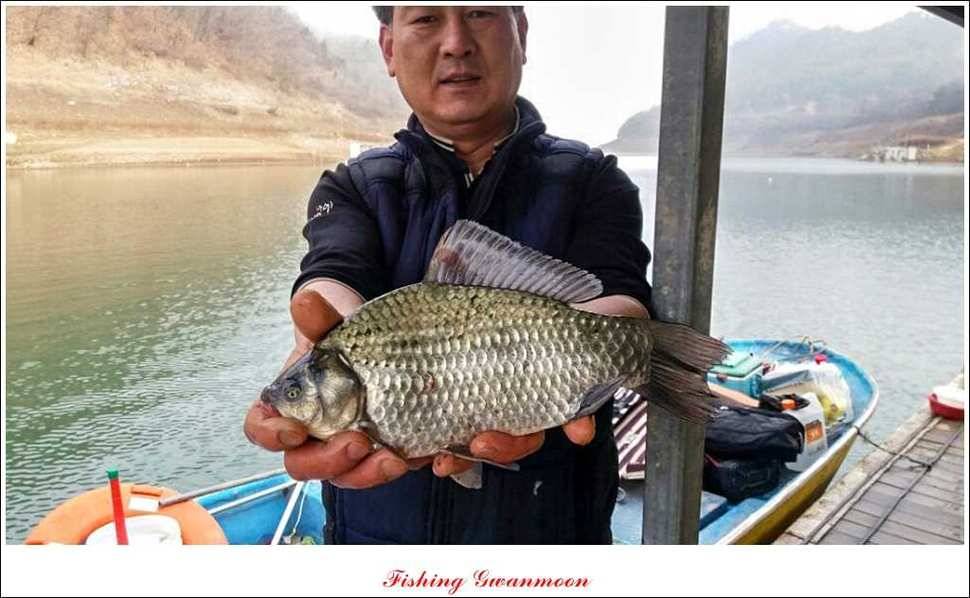 제일윤신매돌감짱가네한버들실리곡 월척 (조황조행기 - 특파원조황)