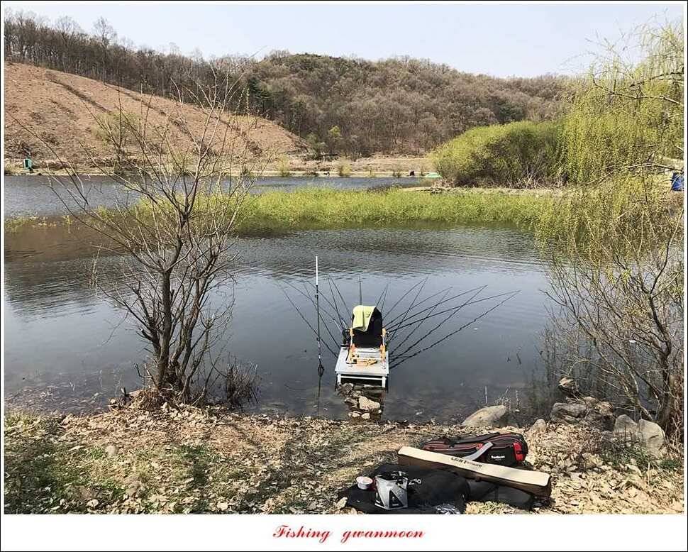매전지 사짜 및 월척들 (조황조행기 - 특파원조황)