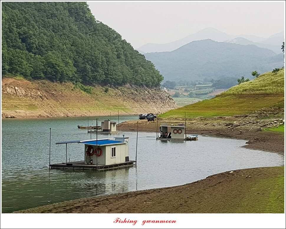 충주호칠성지 주말 조황 (조황조행기 - 특파원조황)