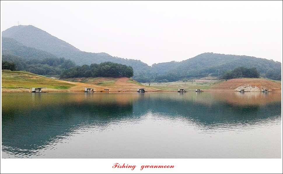 충주호칠성지 주말 조황 (조황조행기 - 특파원조황)