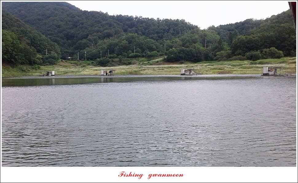 제일 4 짜돌감한버들 마릿수 월척화곡지 사짜 및 마릿수 월척 (조황조행기 - 특파원조황)