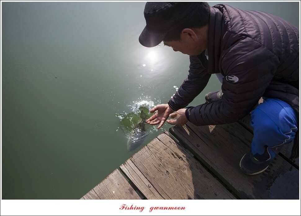 한버들 낚시대회실리곡 월척 (조황조행기 - 특파원조황)