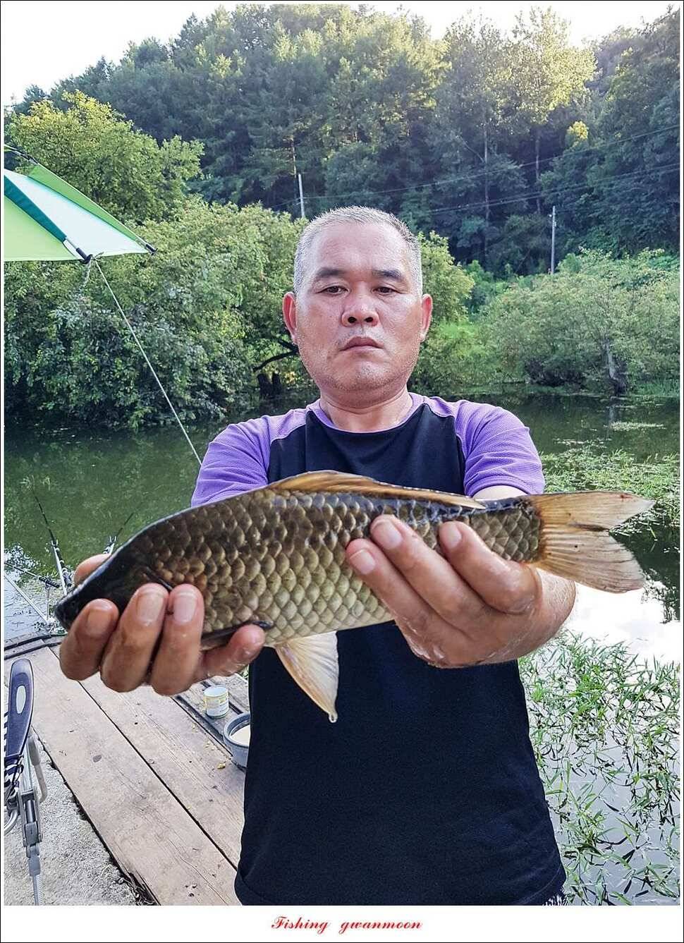 화곡지실리곡 조황 (조황조행기 - 특파원조황)