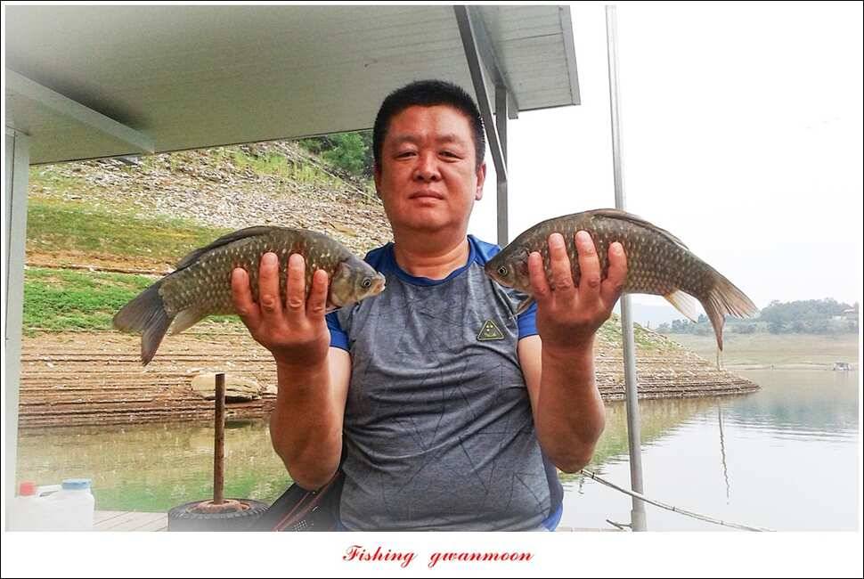충주호칠성지 주말 조황 (조황조행기 - 특파원조황)