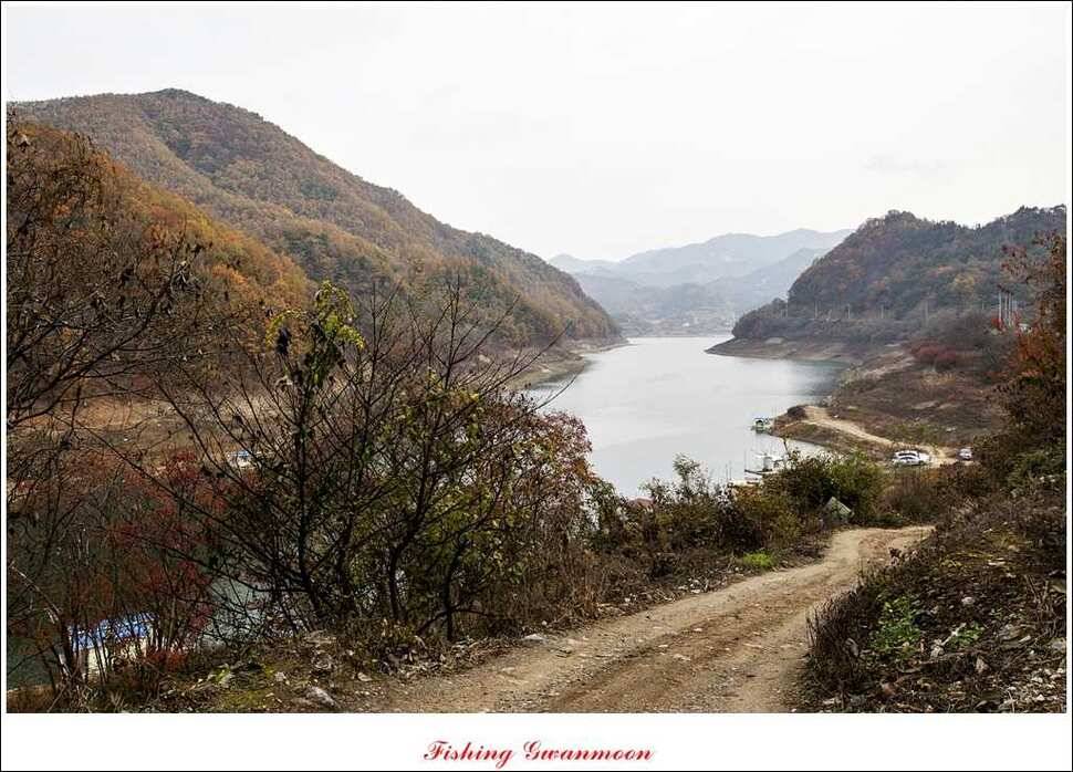 짱가네 사짜돌감실리곡병호 월척 (조황조행기 - 특파원조황)