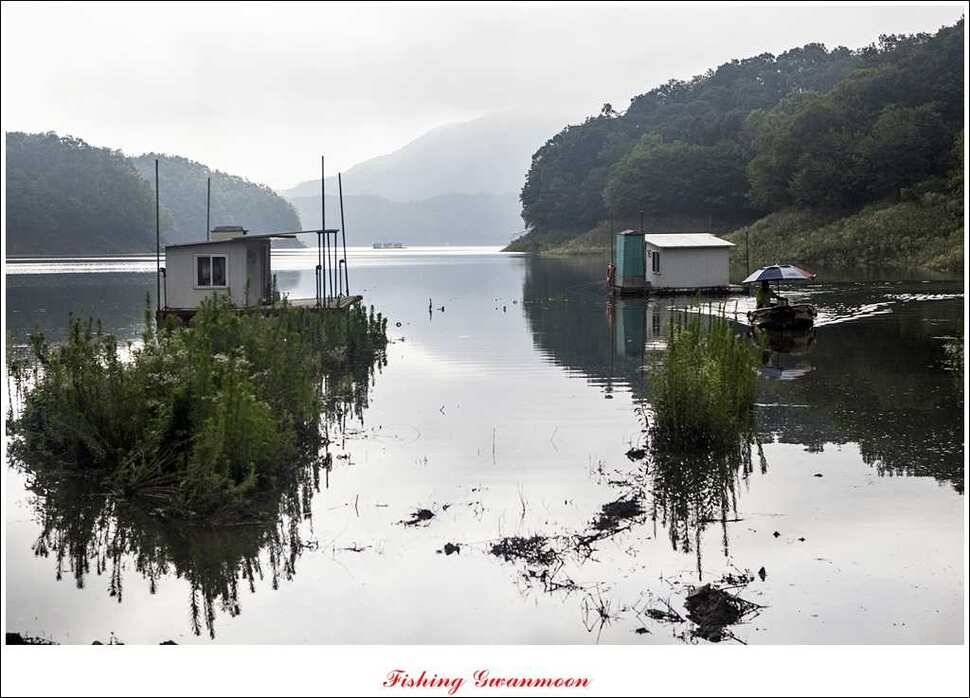 충주호 주말 조황 (조황조행기 - 특파원조황)