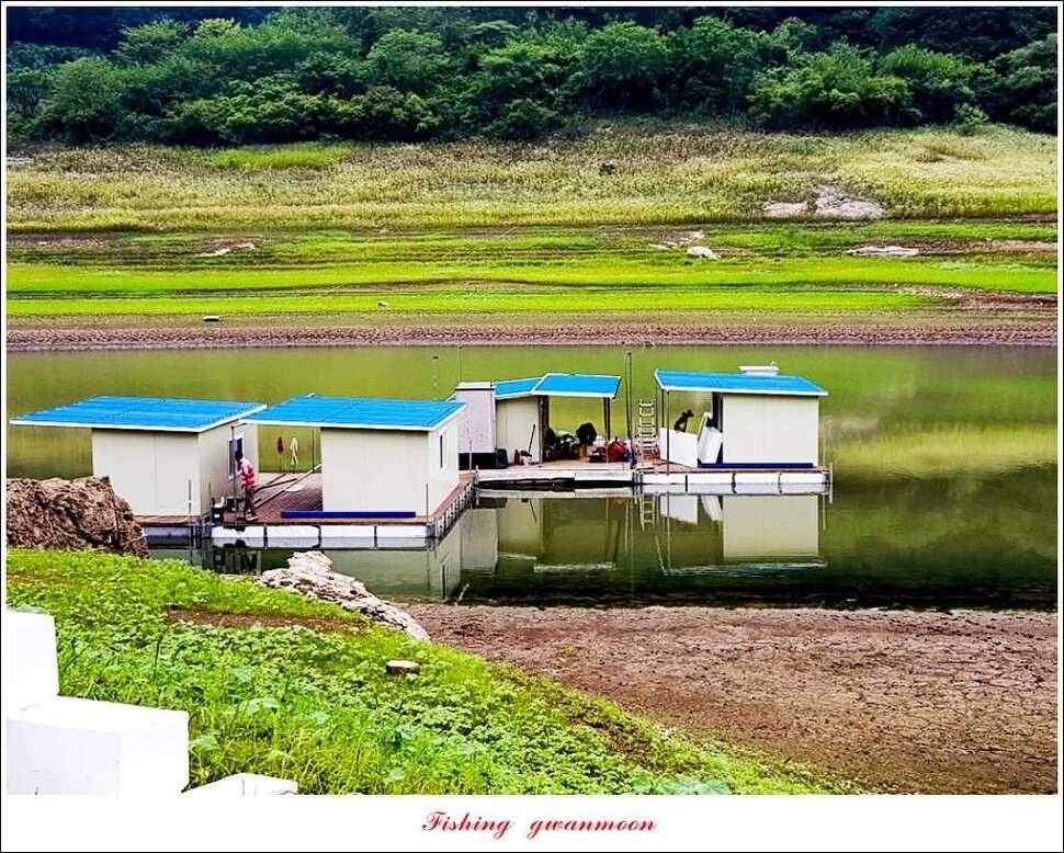 신매실리곡한버들 월척 조황 (조황조행기 - 특파원조황)