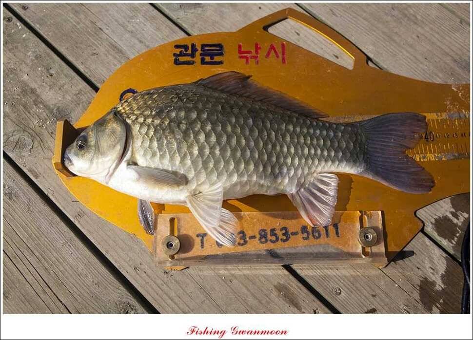 명서 사짜추평지 사짜 (조황조행기 - 특파원조황)