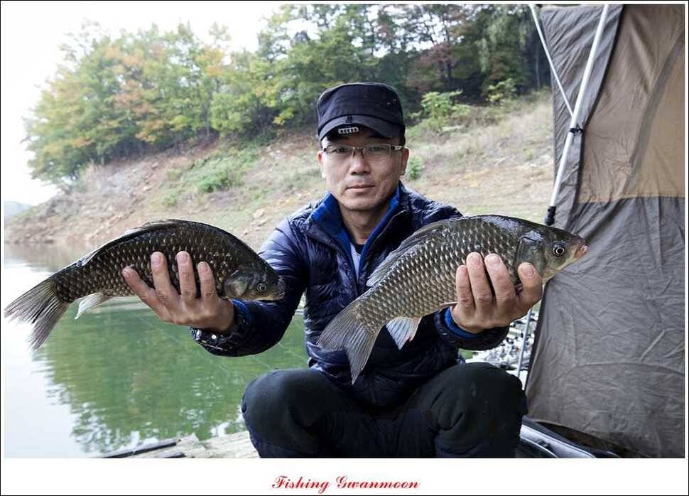 돌감한버들늘푸른 월척 조황 (조황조행기 - 특파원조황)