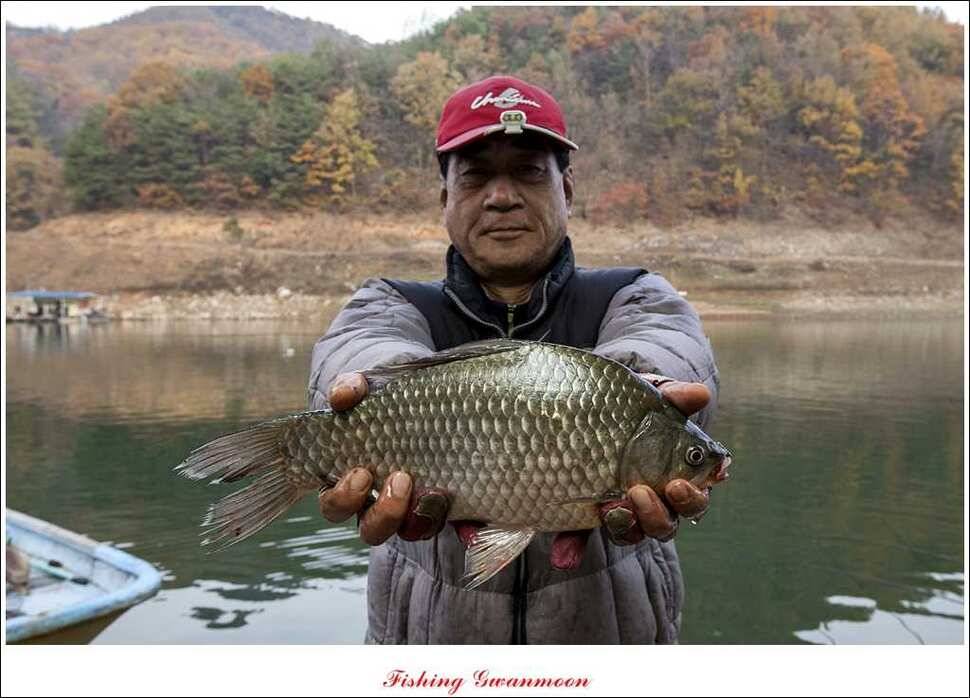 짱가네 사짜돌감실리곡병호 월척 (조황조행기 - 특파원조황)