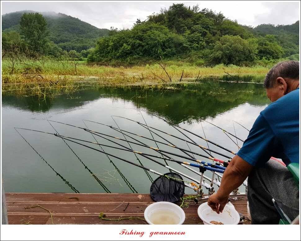화곡지실리곡 조황 (조황조행기 - 특파원조황)