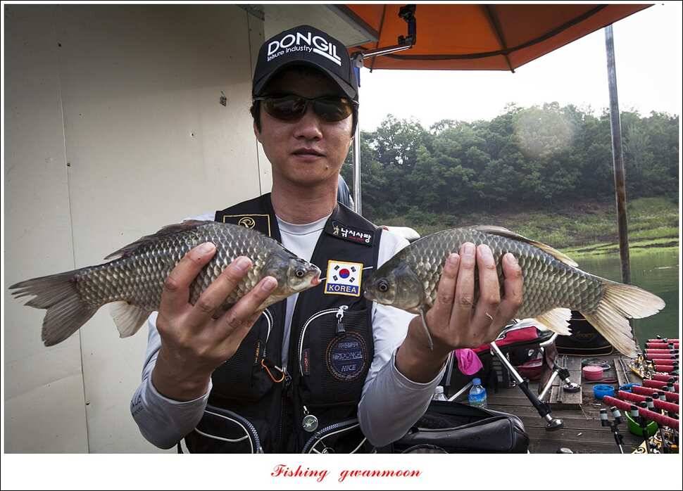 병호 사짜실리곡 사짜늘푸른 사짜 및 키로급 장어돌감 38 cm 및 마릿수 조황 (조황조행기 - 특파원조황)