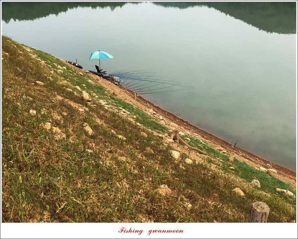 충주호칠성지 주말 조황 (조황조행기 - 특파원조황)
