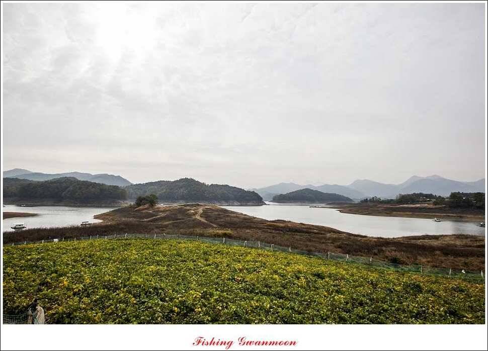 돌감한버들늘푸른 월척 조황 (조황조행기 - 특파원조황)